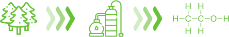 Diagramme illustrant la création de 2G Bioethanol